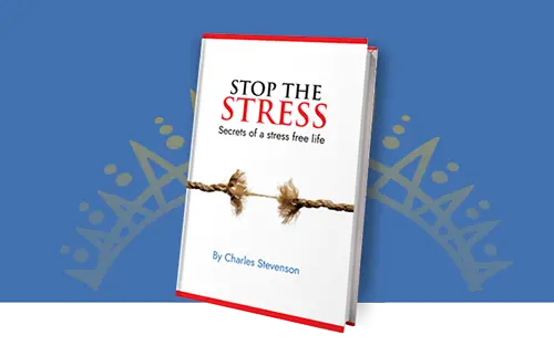 stop the stress white eBook cover titled with blue background